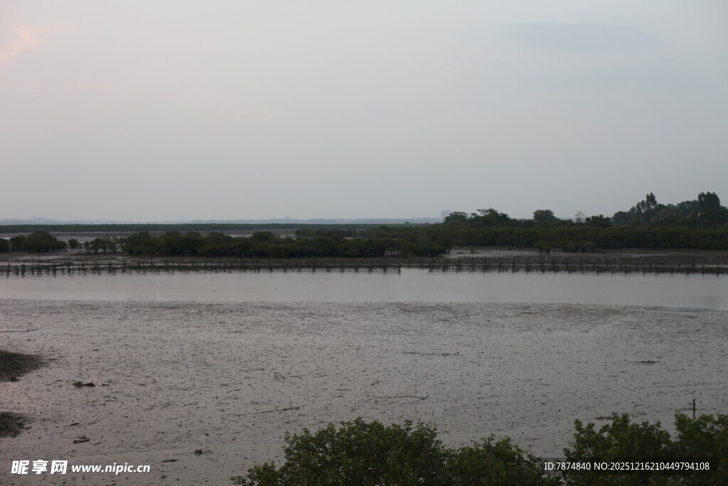 湿地风光静谧自然景致