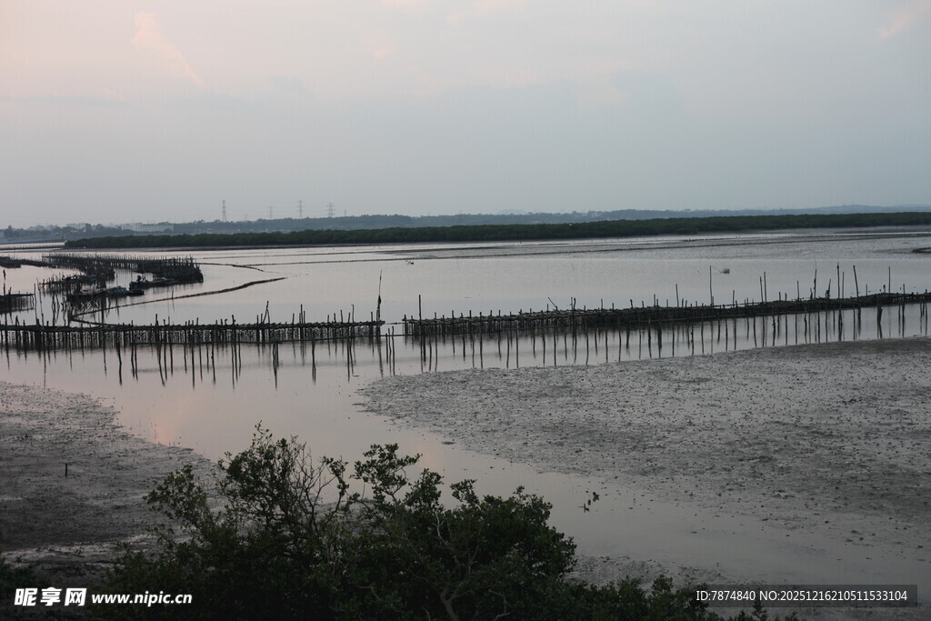 黄昏下的湿地栈桥景观