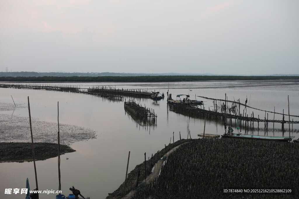 黄昏下的宁静江边景象
