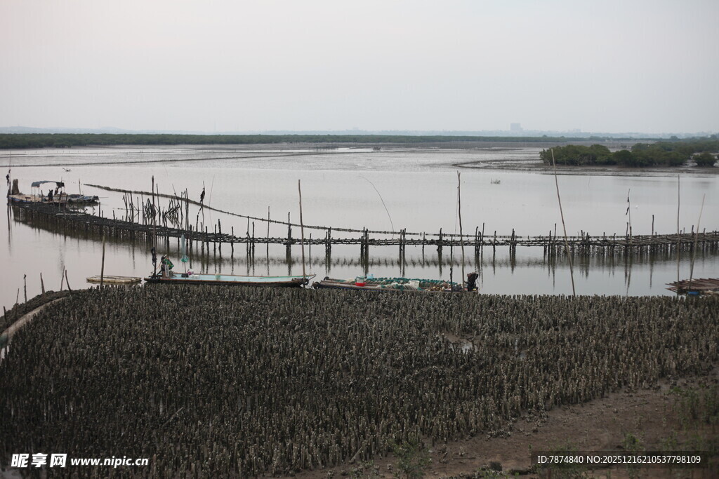 河畔木桥与船只静谧景象