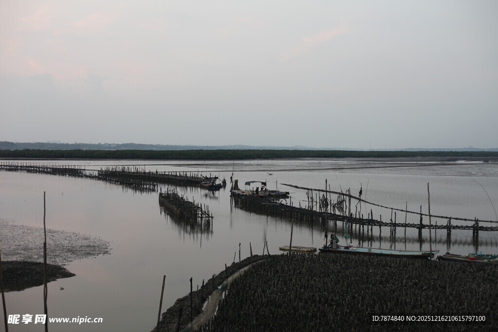 江边停泊的船只与栈桥
