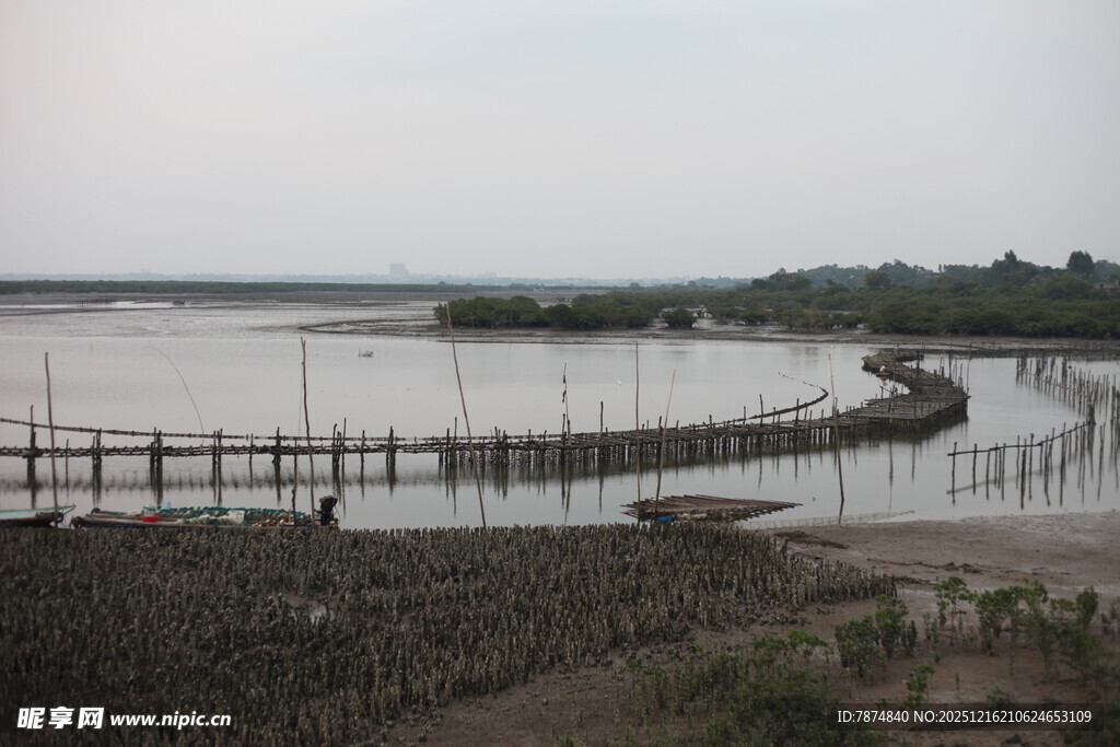 湿地木栈道景观