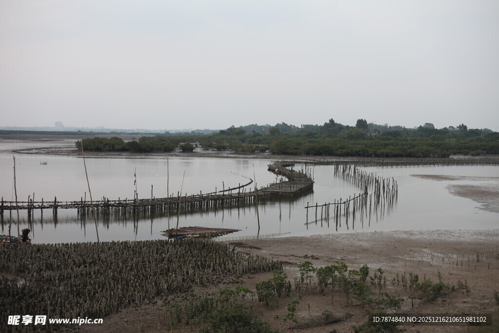 湿地滩涂风光