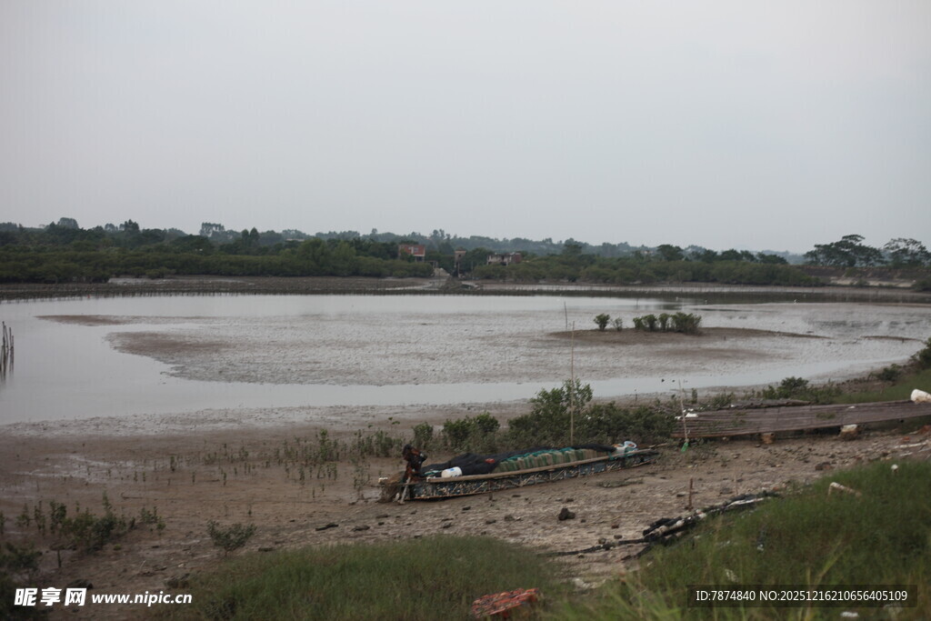 河岸滩涂景象
