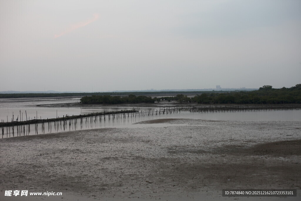 海边栈桥静谧的滩涂风光