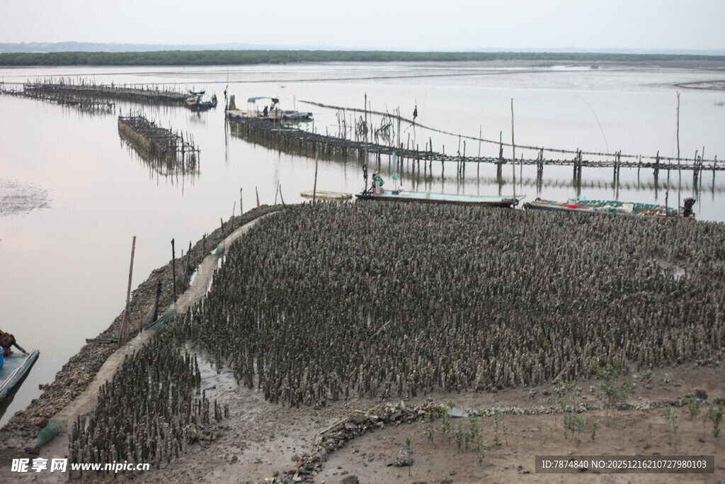 江边田园与水上设施景象