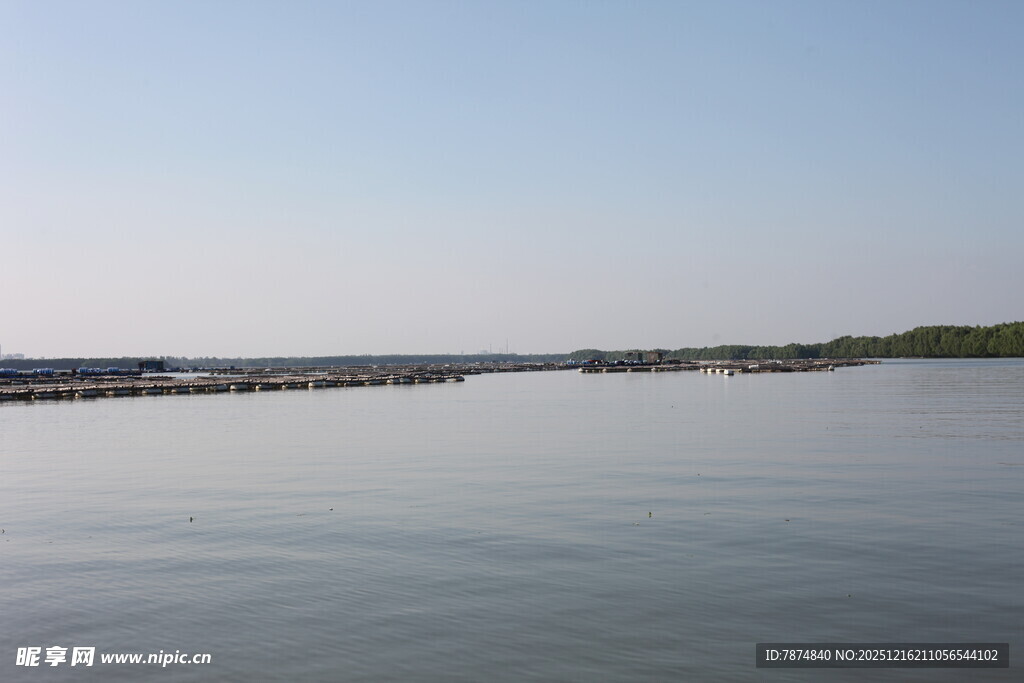 平静湖面远方岸线景色
