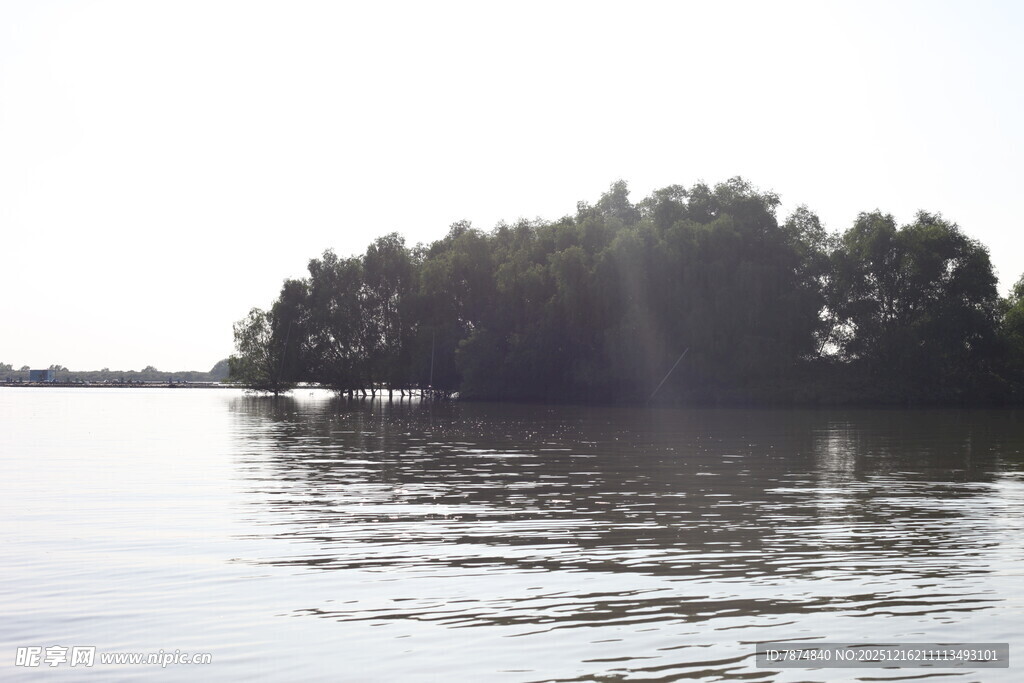 湖畔绿树映波光