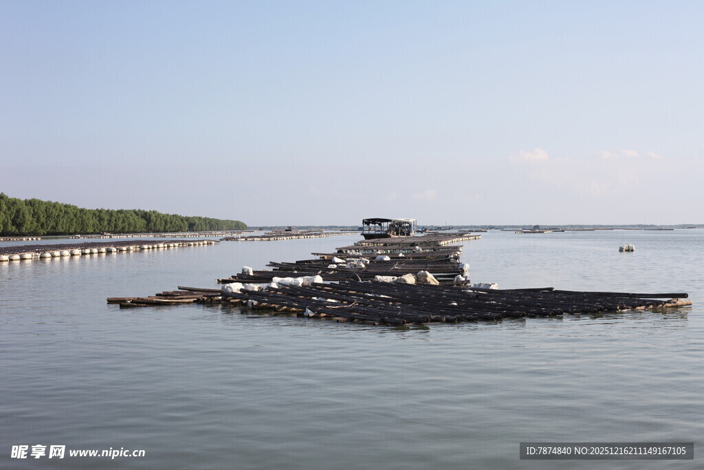 海上生蚝养殖