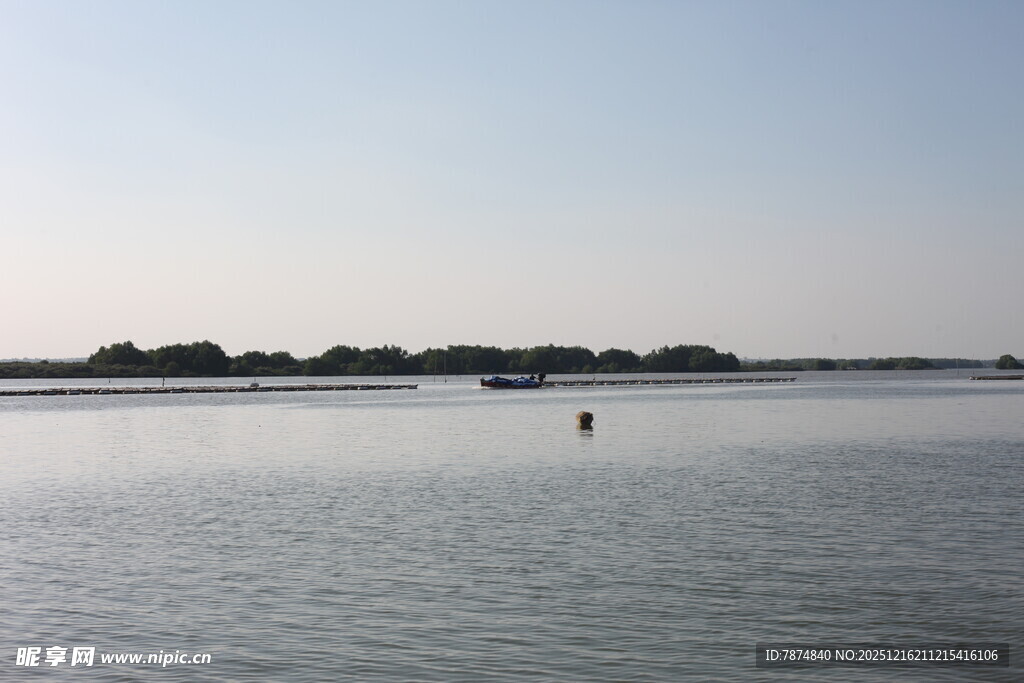 平静湖面与远处树木景观