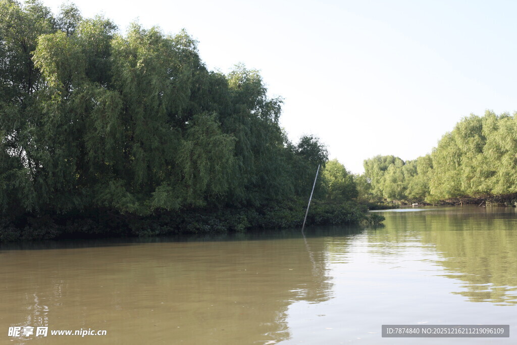河畔绿树环绕的宁静水域