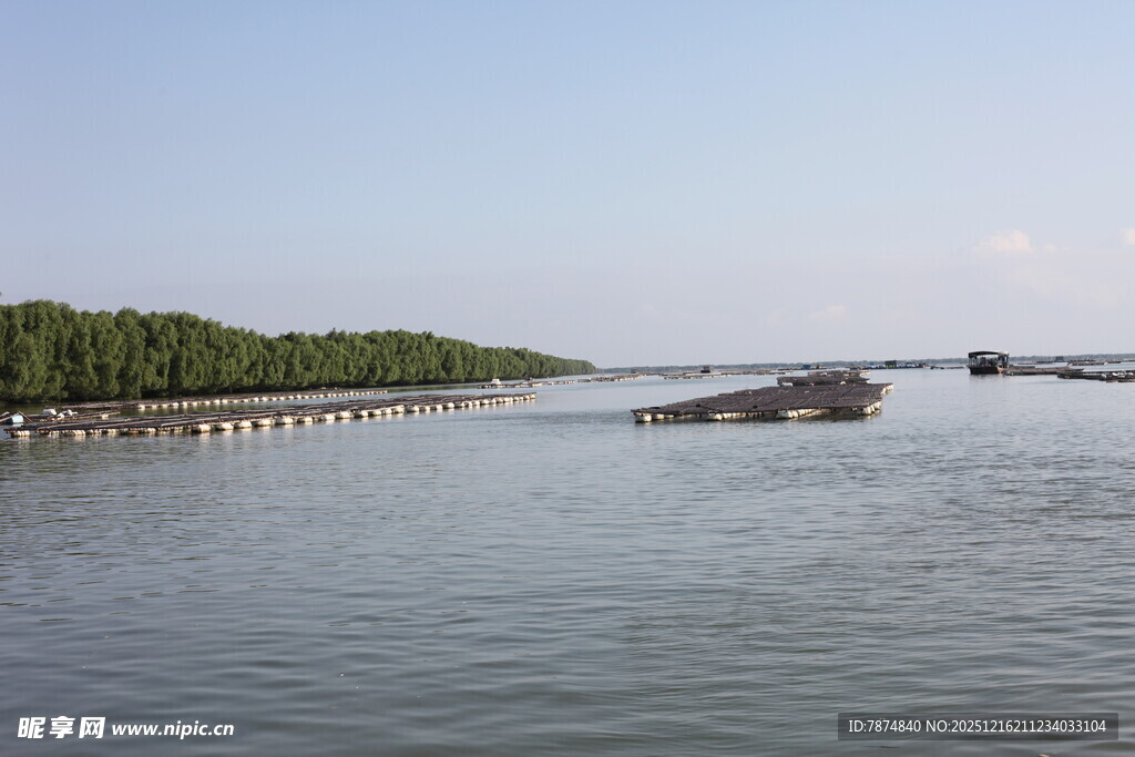水面与岸边景致
