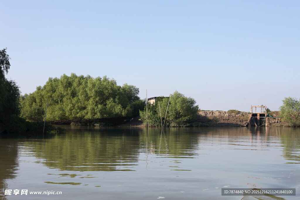 河畔绿树映碧水美景