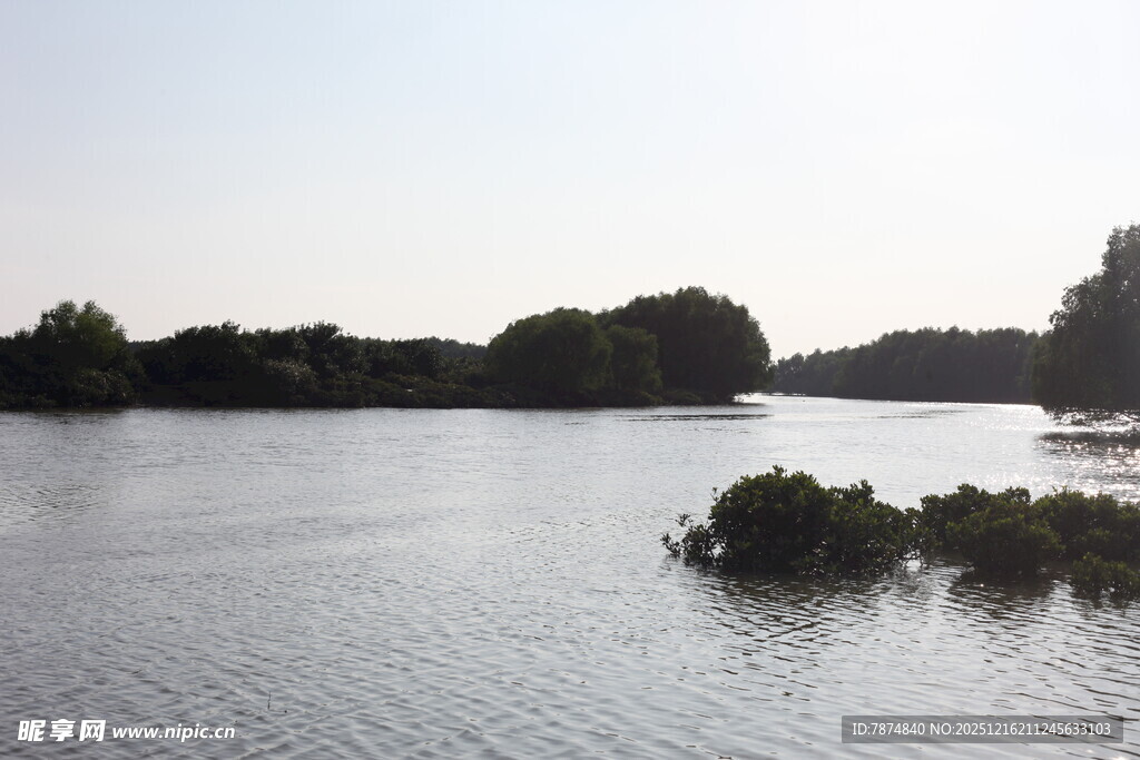 宁静湖面的自然景致