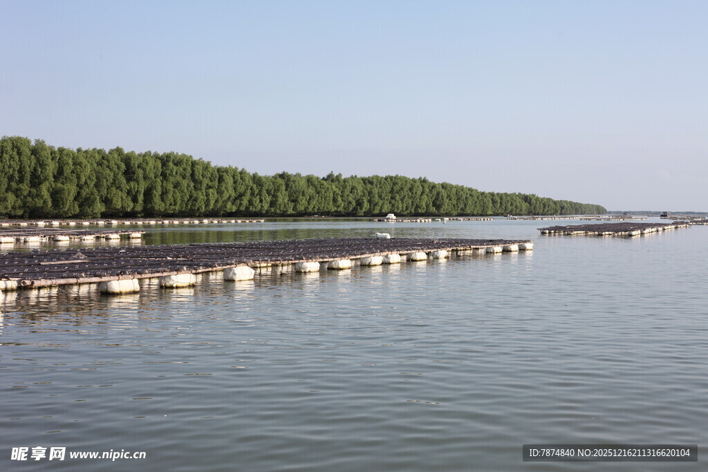 水上排列整齐的漂浮物