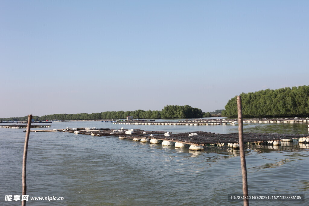 水上养殖场景