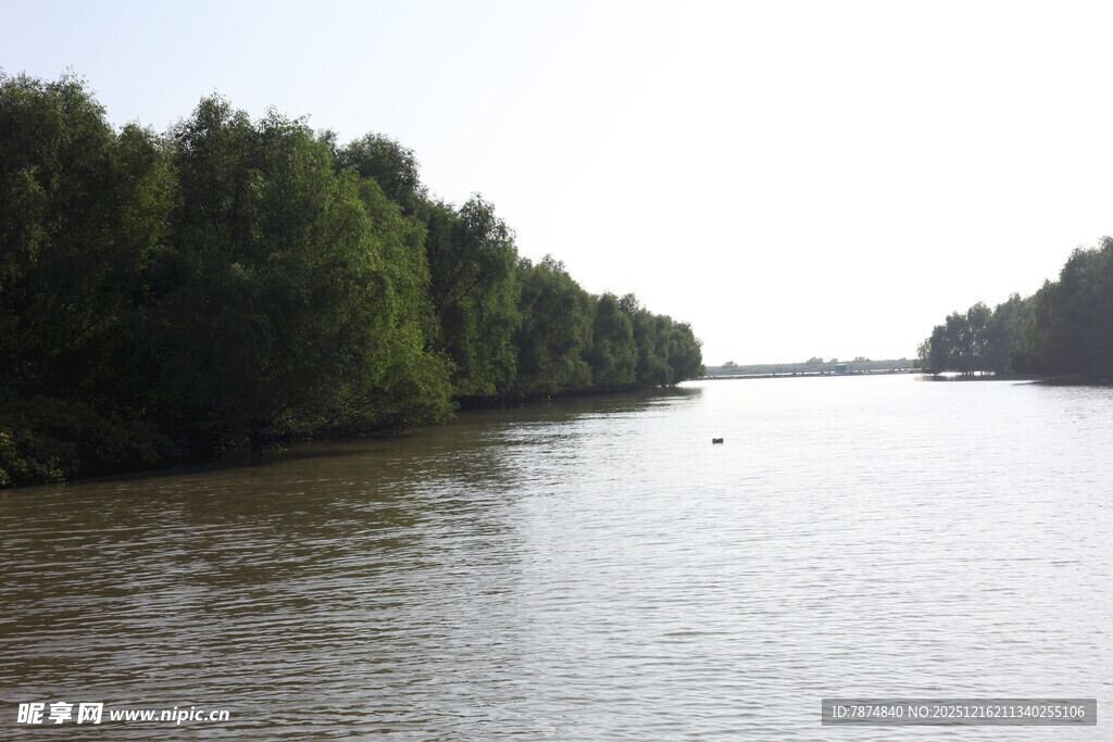 河畔绿树环绕的平静水面