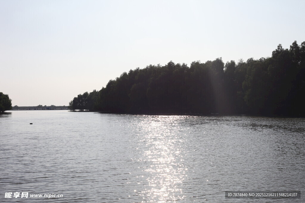 波光粼粼的宁静河岸风光