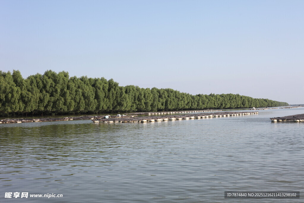 河畔绿树成荫的宁静水域