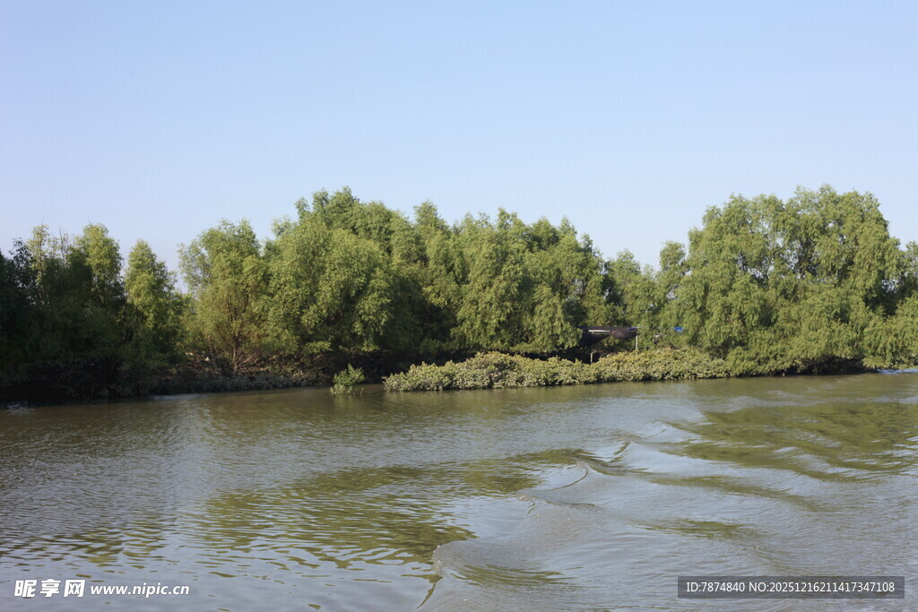 河畔绿树环绕的宁静水域