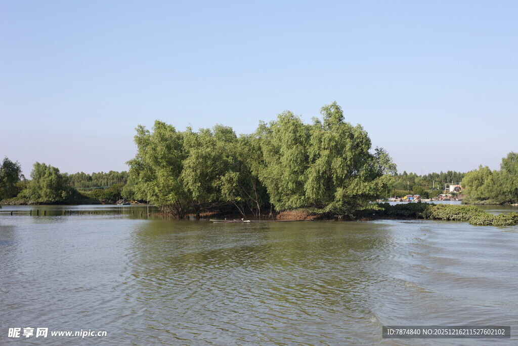 湖畔绿树成荫的宁静风光