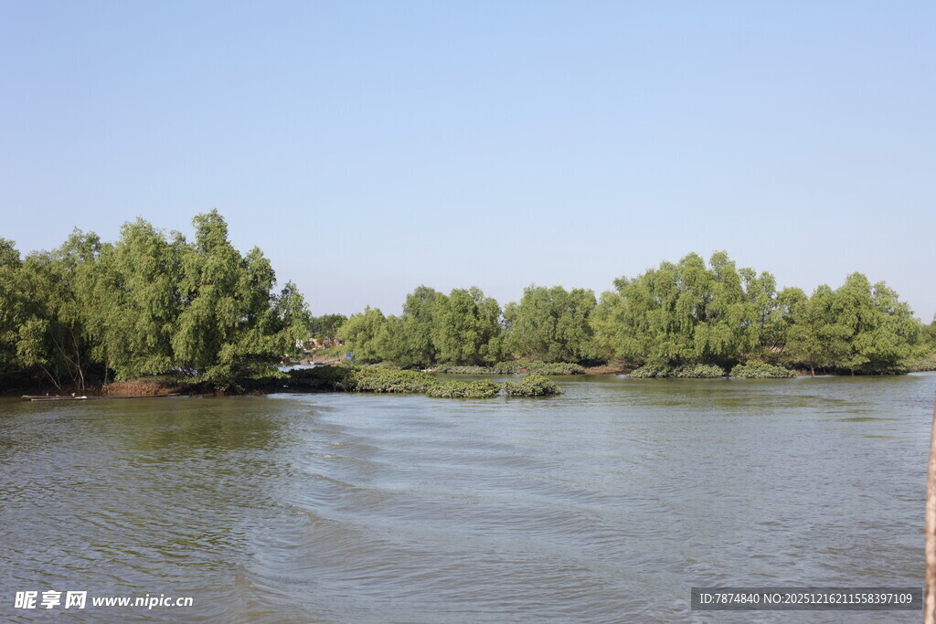 河畔绿树环绕的宁静水域