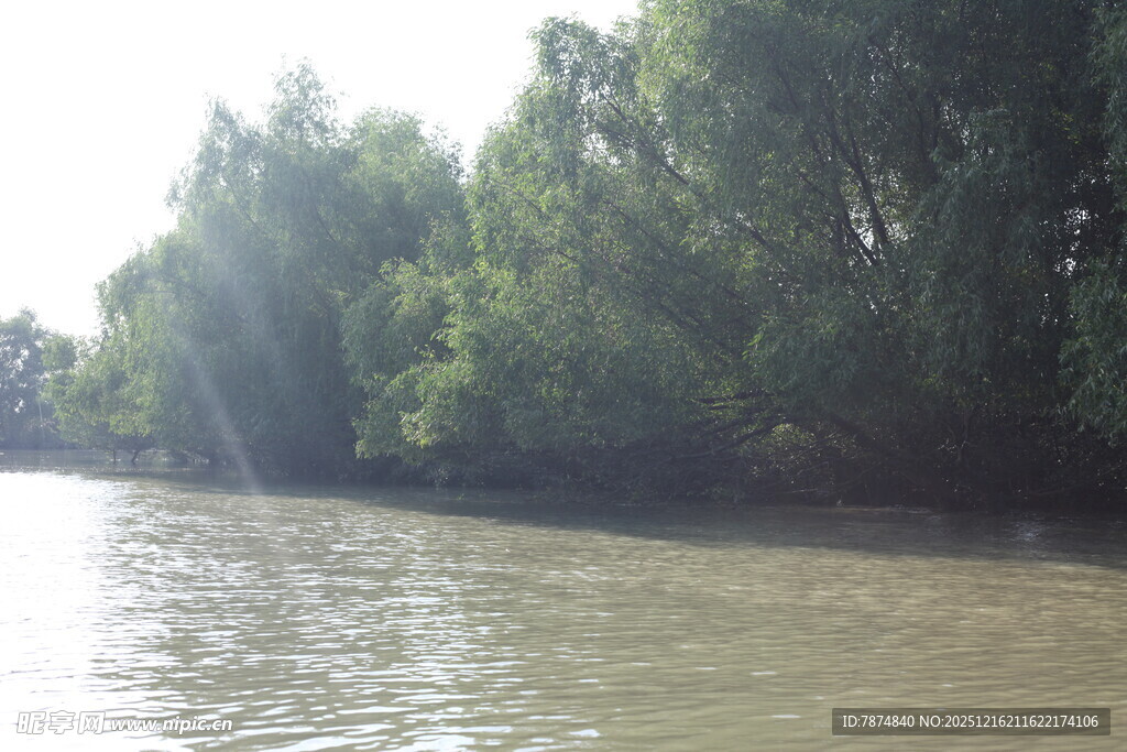 河畔绿树成荫的宁静水域