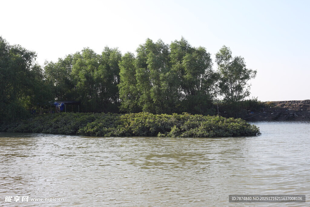 河畔绿树环绕的宁静水域