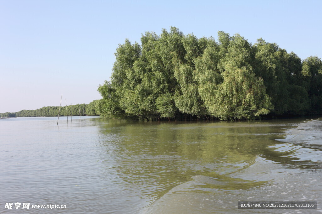 河畔绿树成荫的宁静水域