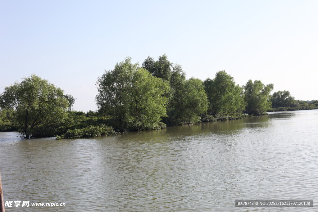 河畔绿树环绕的宁静水域