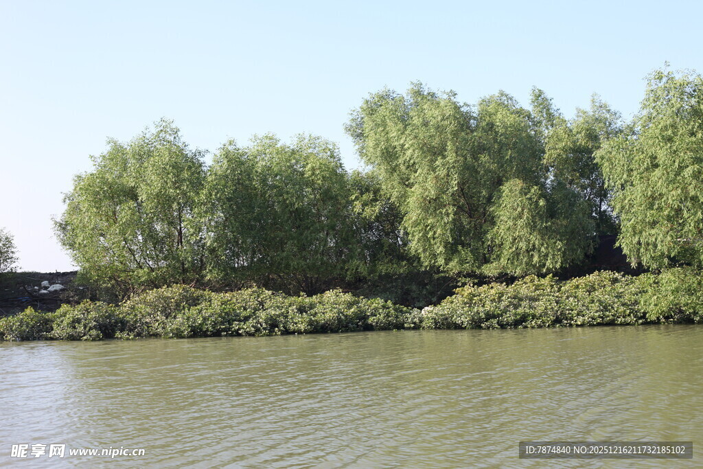 河畔绿树成荫的自然景致