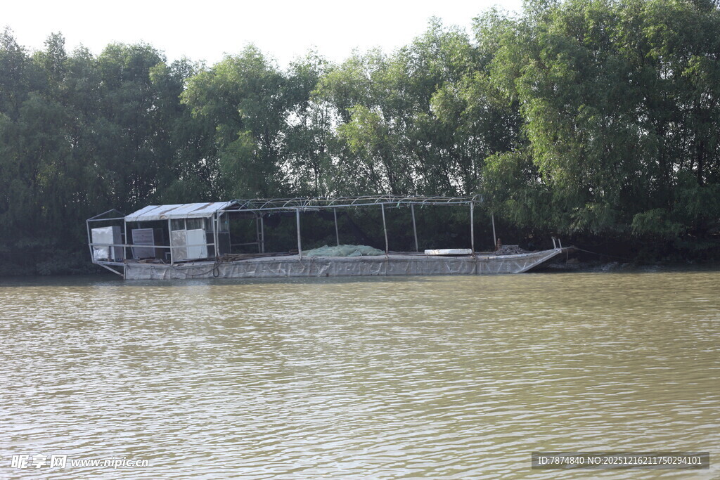 河畔停泊的船只与茂密树林