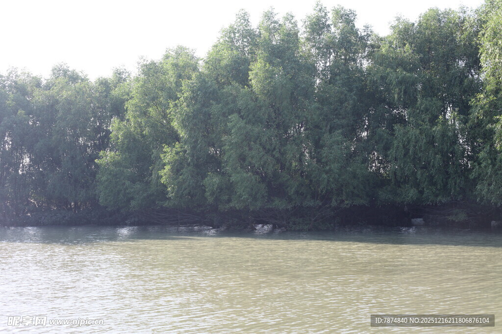 河畔绿树环绕的宁静水域