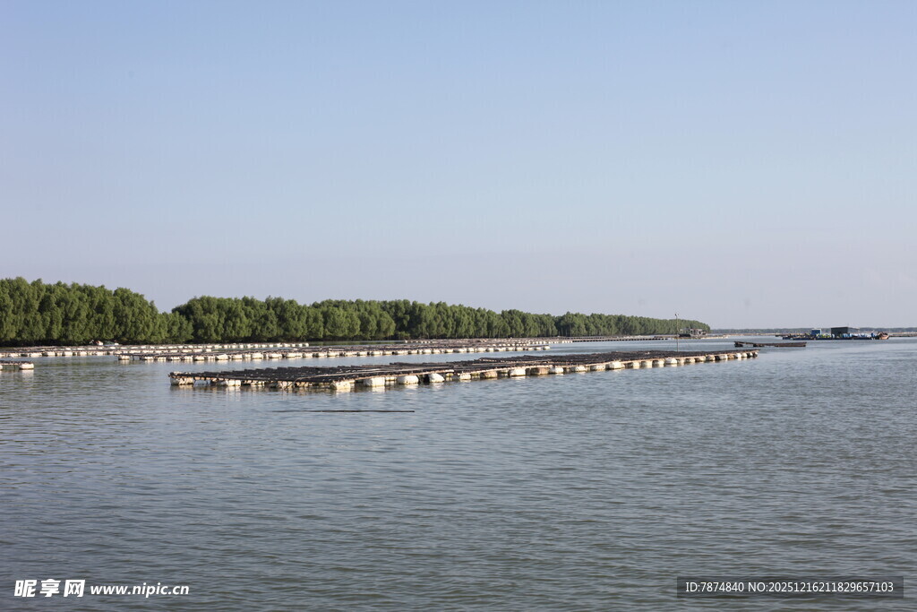 生蚝养殖水域
