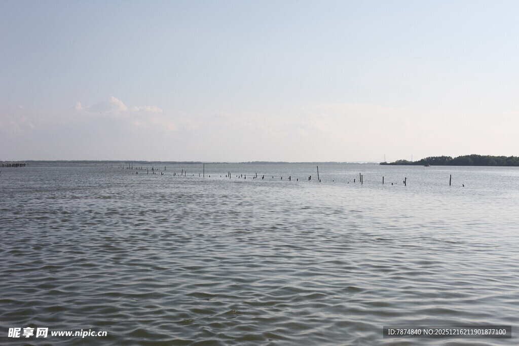 宁静海边的开阔水域景象