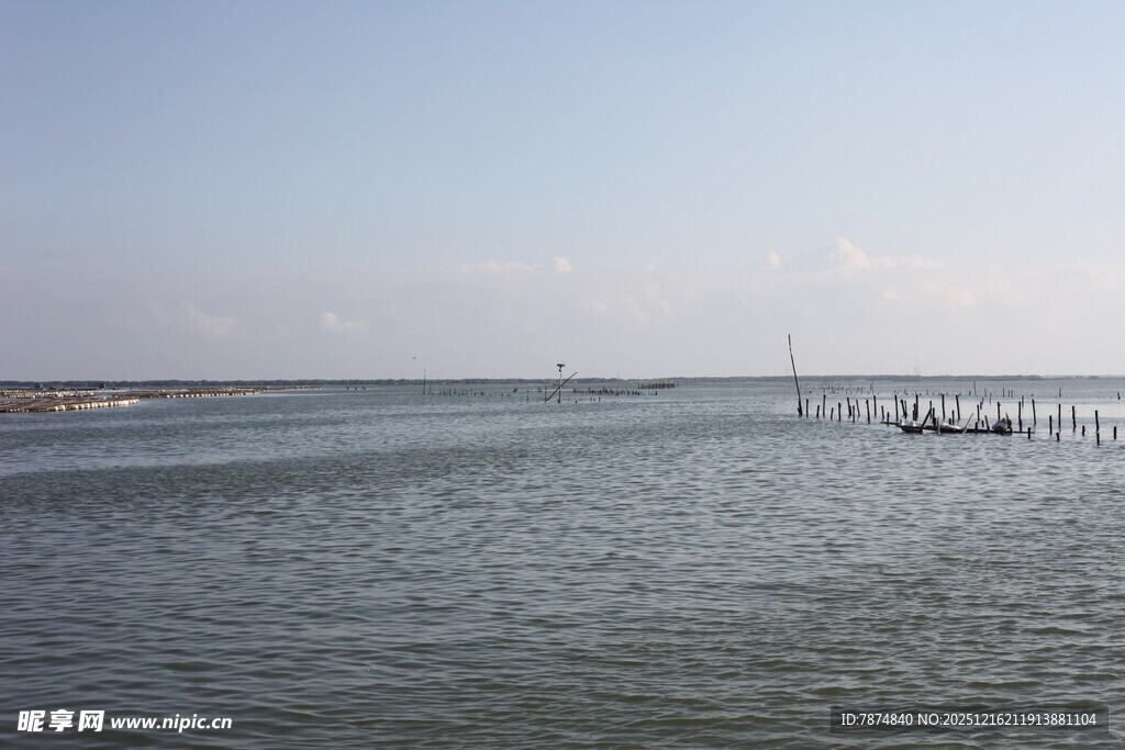 海边滩涂景象