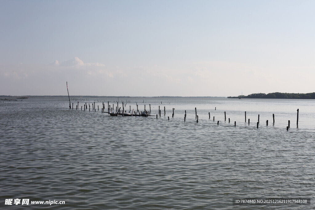 海上木桩景观