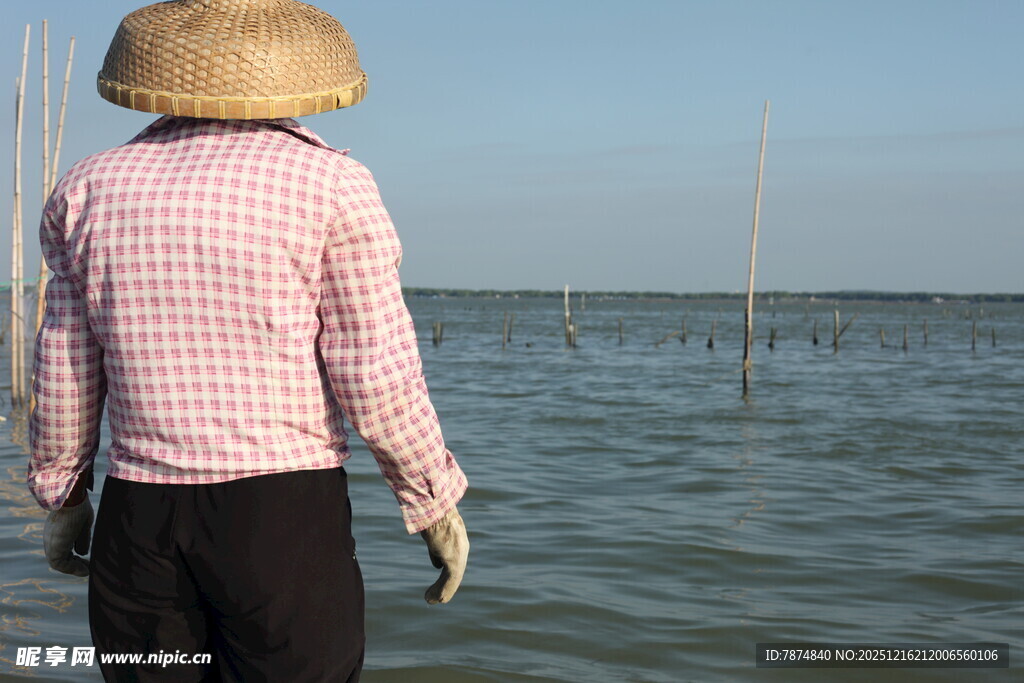 海边劳作的戴斗笠农人