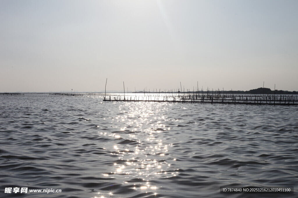 阳光照耀下的平静海面