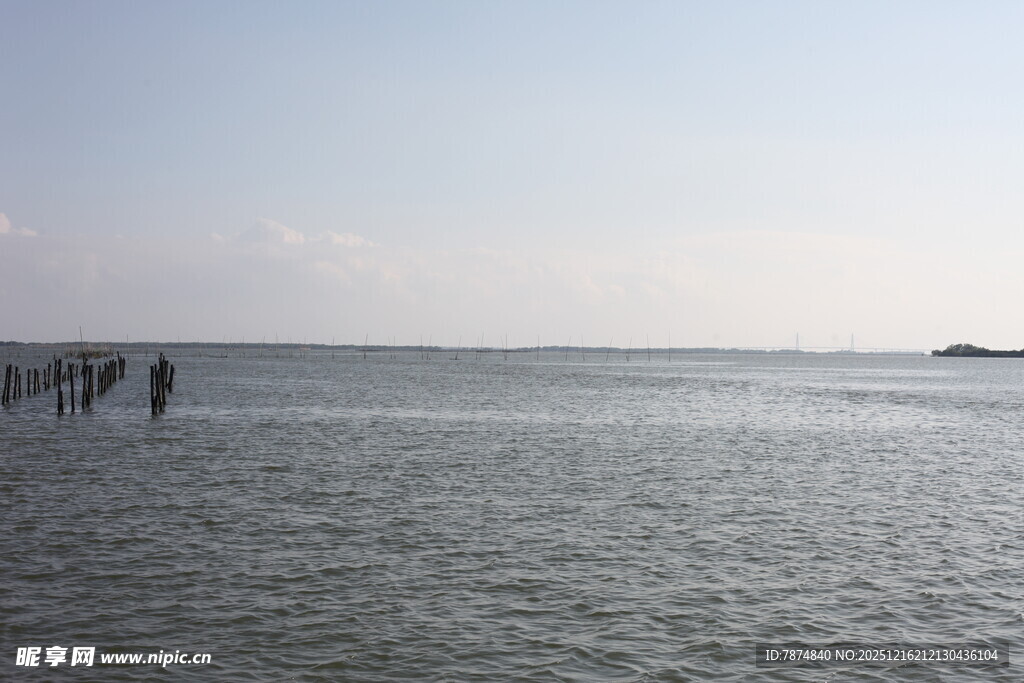 海边漫步的行人与辽阔大海