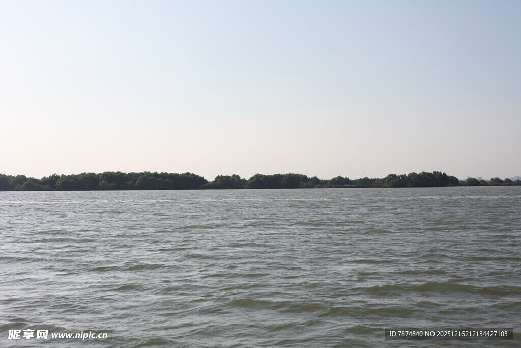 平静湖面与远处树木景观