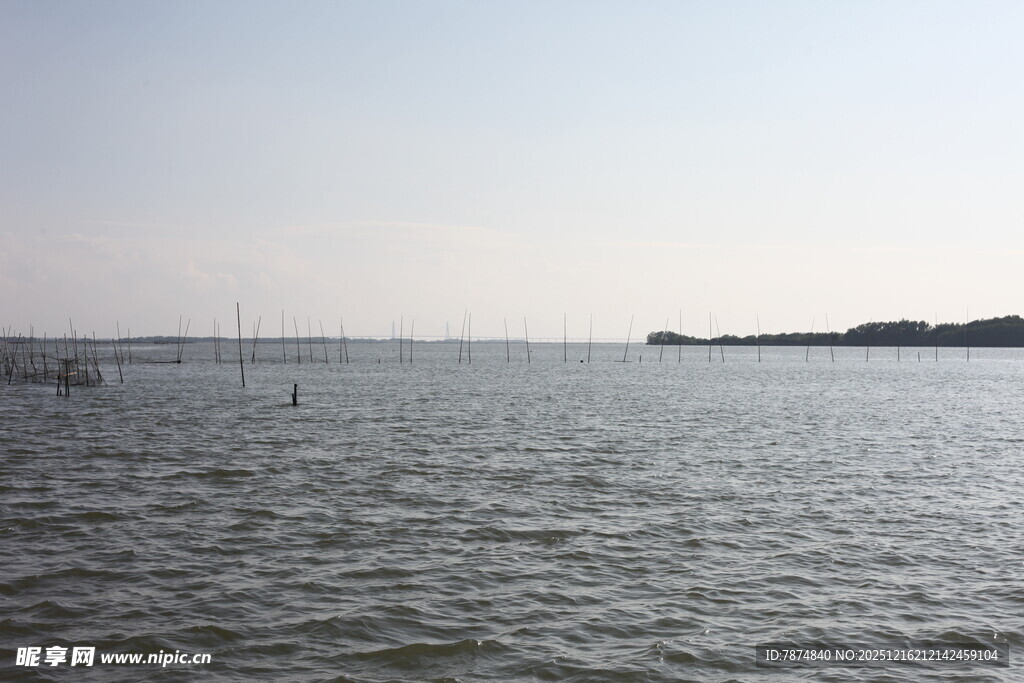 广阔海面与远处岸线景观