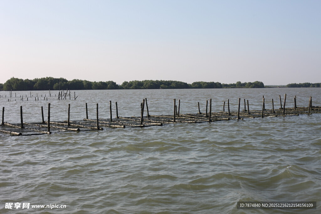 海上木桩围栏景观