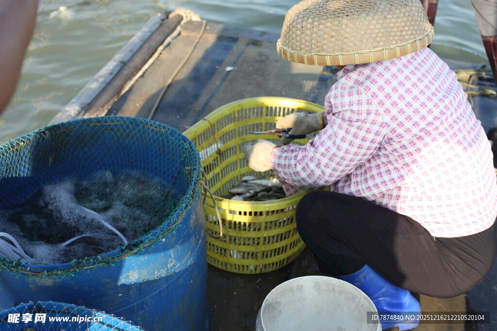 渔民码头忙碌分拣海产品