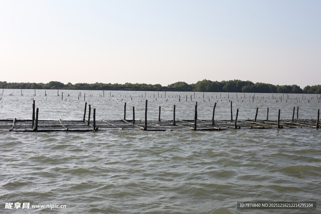 水上木栅栏景观