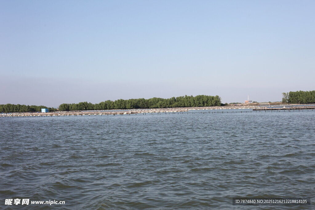 广阔水域边的葱郁岸景