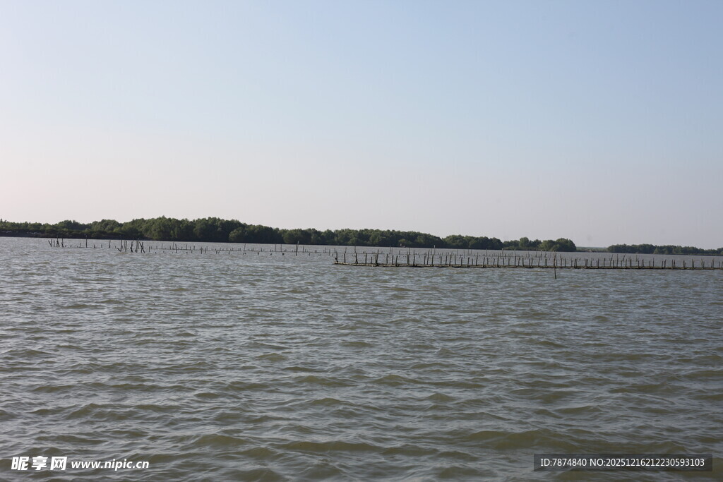 平静水域与远处岸景
