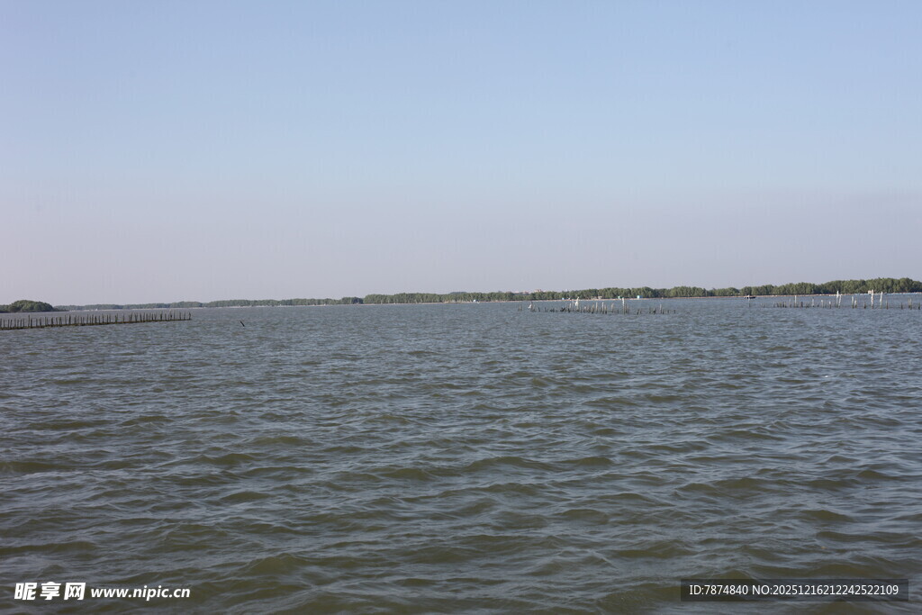 广阔水域的宁静景象