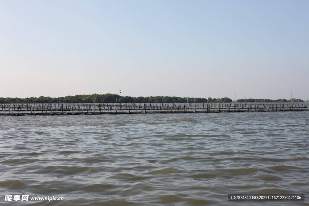 宽阔水域边的长桥风景
