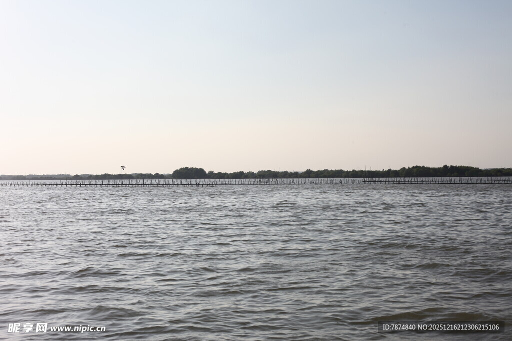 平静海面与远处天际线